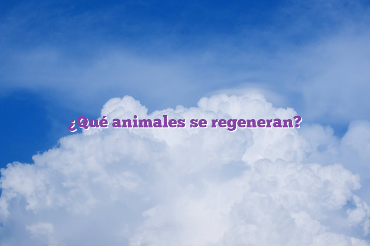 ¿Qué animales se regeneran?