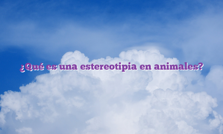 ¿Qué es una estereotipia en animales?