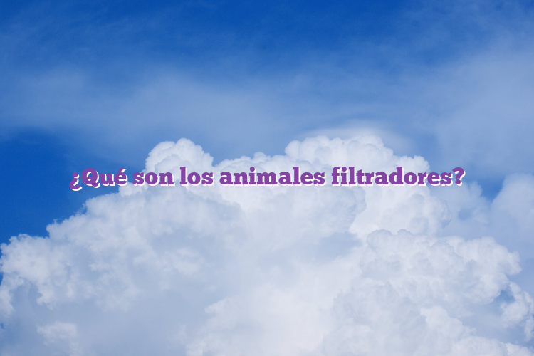 ¿Qué son los animales filtradores?