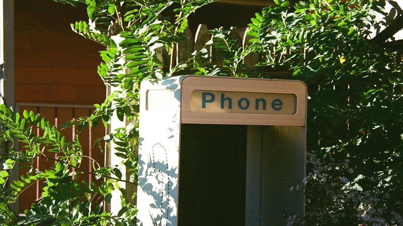 Prefijo 955 ¿De Dónde Es?